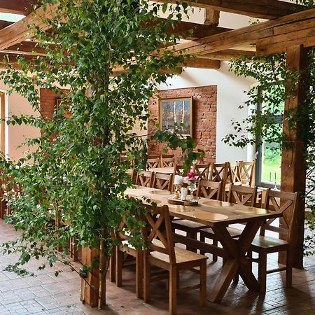 Dwor Mysinek Apartment Grabowiec  Luaran gambar